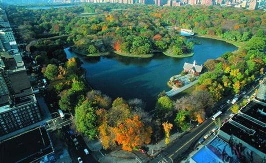 2024年移民日本最快途径：如何通过工作签证获取永住权