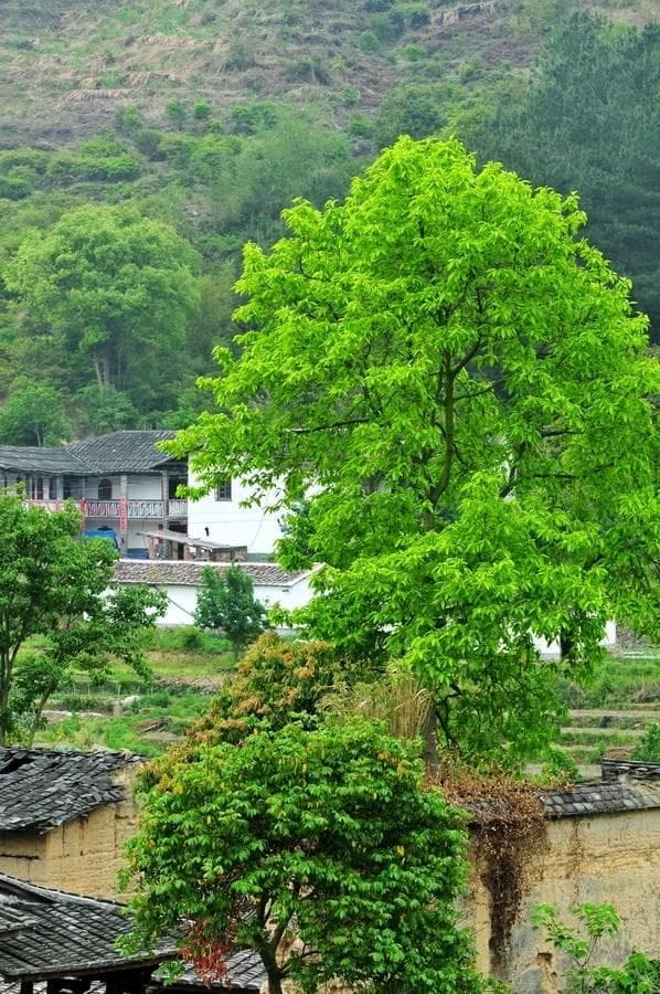 友情和爱情的区别在哪里？它们在人生中分别扮演着怎样的角色？