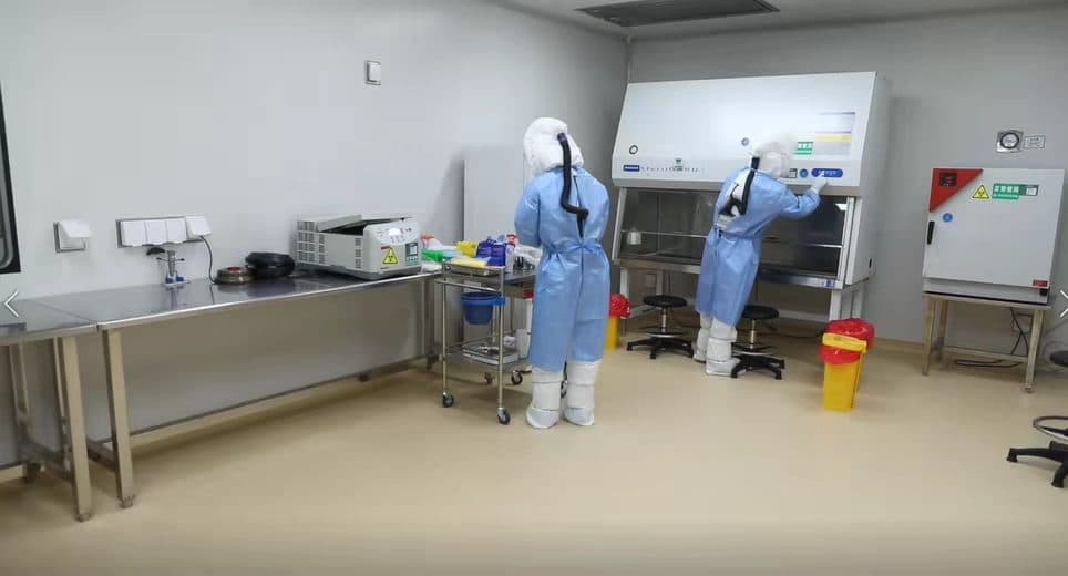 “艾滋猴子”实验：科学探索与伦理边界之争