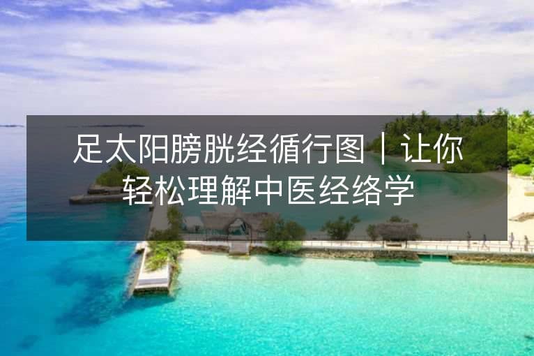 足太阳膀胱经循行图：中医经络学入门指南