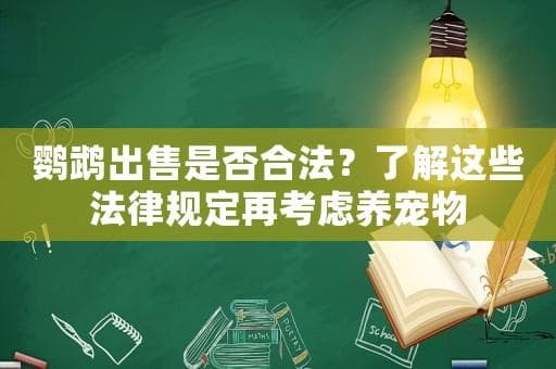 鹦鹉出售是否合法？了解这些法律规定再考虑养宠物