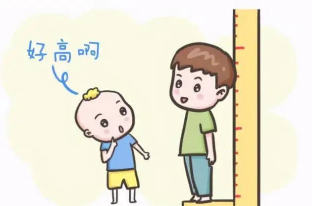 孩子个子不高，有哪些科学增高方法可以帮助他？