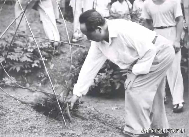 毛泽东：鲜为人知的五段感人故事