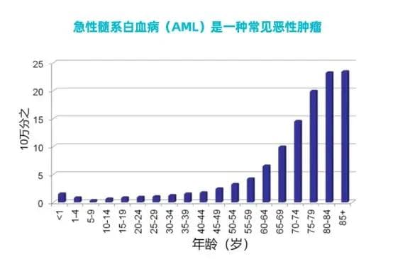 维奈克拉联合丁酸盐：开启急性髓系白血病治疗新篇章