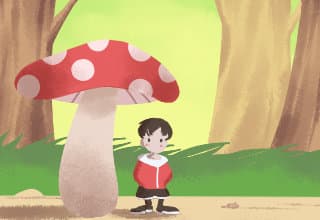 奇特的风俗习惯！云南十八怪是什么