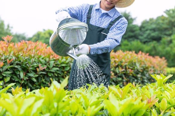 农药经营许可证需要什么资料