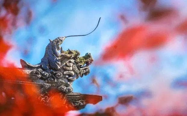 二月二丨龙抬头，抬起一年好兆头