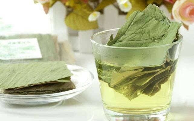 春季喝荷叶茶好吗