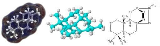 量子，玻色子，费米子傻傻分不清？一口气看懂各种粒子的区别（玻色子与费米子）