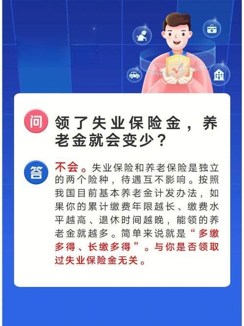 保险财险知识，全面解析与深入理解