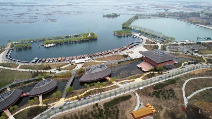 从白洋淀芦苇“平衡收割”解码雄安生态治理路径