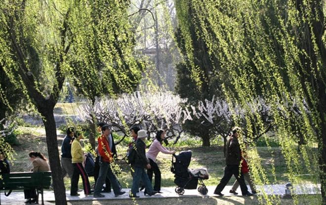 2025年清明节：哪5个生肖需要"躲清明"？怎么躲？牢记三不做，顺利一整年