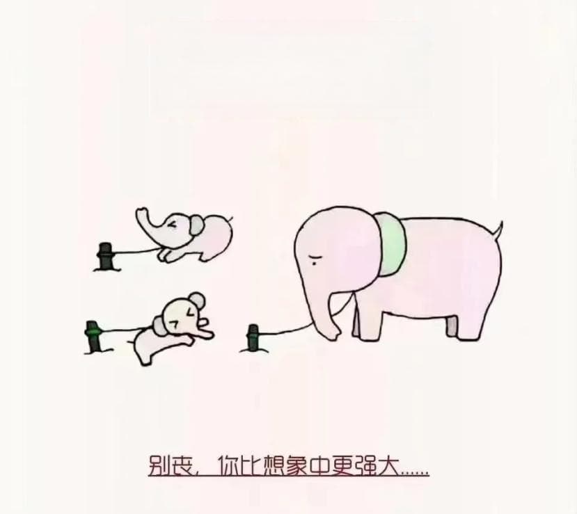 习得性无助让拒绝尝试变成习惯