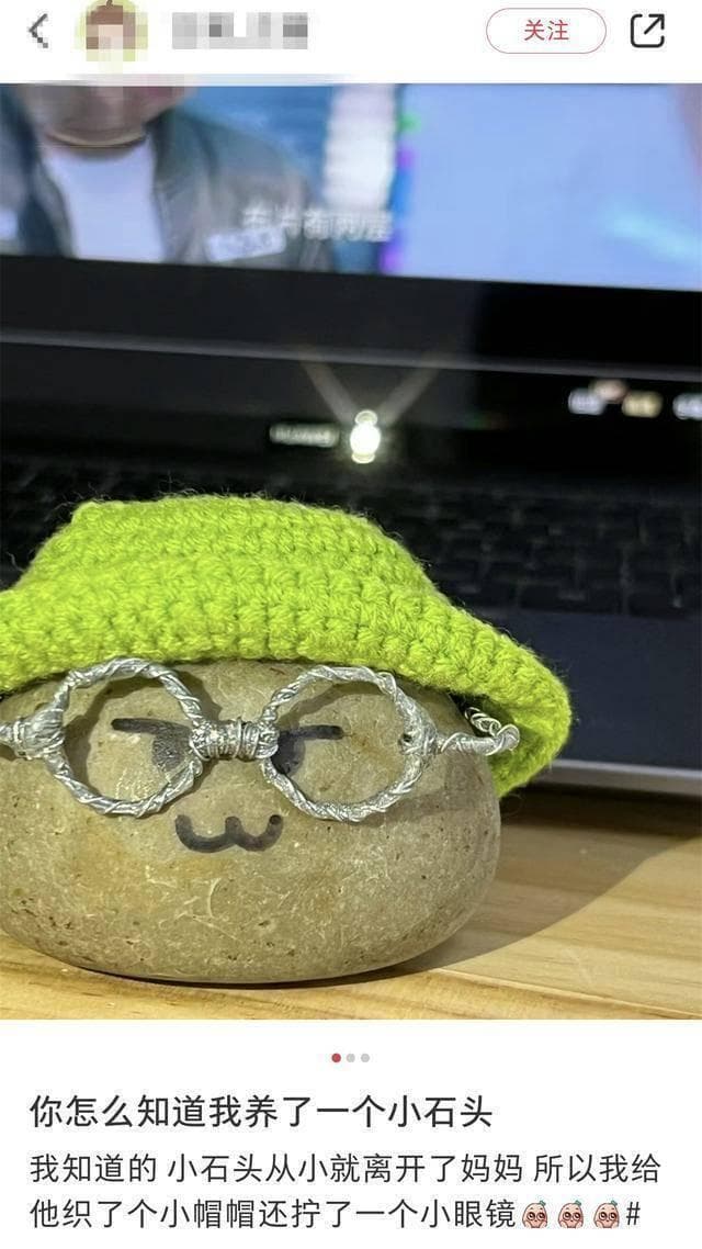 猫狗不香了？这届年轻人开始养宠物石头了！网友：不会吵闹，性价比高