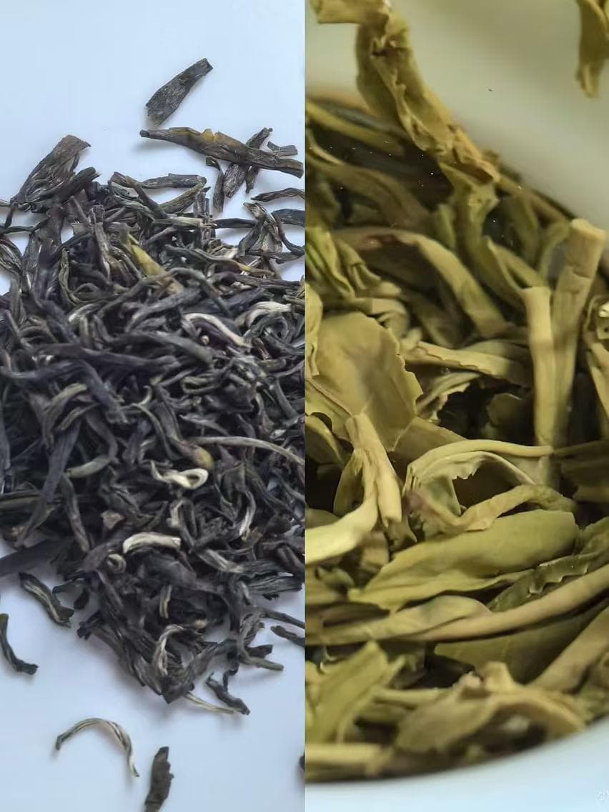 茉莉花茶选购避坑指南：新手必知的5个关键步骤