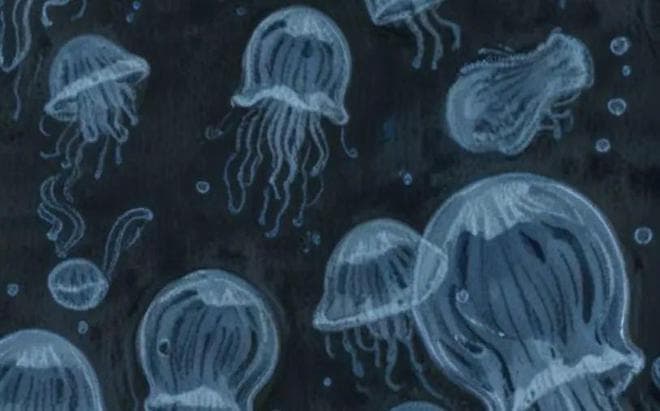新书 | 《以法律拯救海洋：海洋环境保护的国际法律框架》