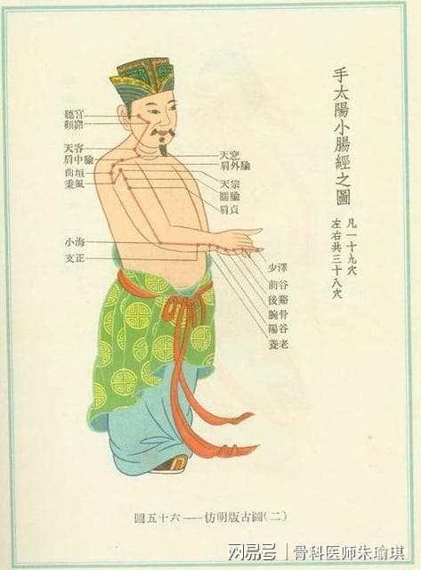 认识中医经穴