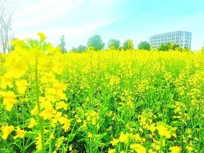 不妨查查过敏原