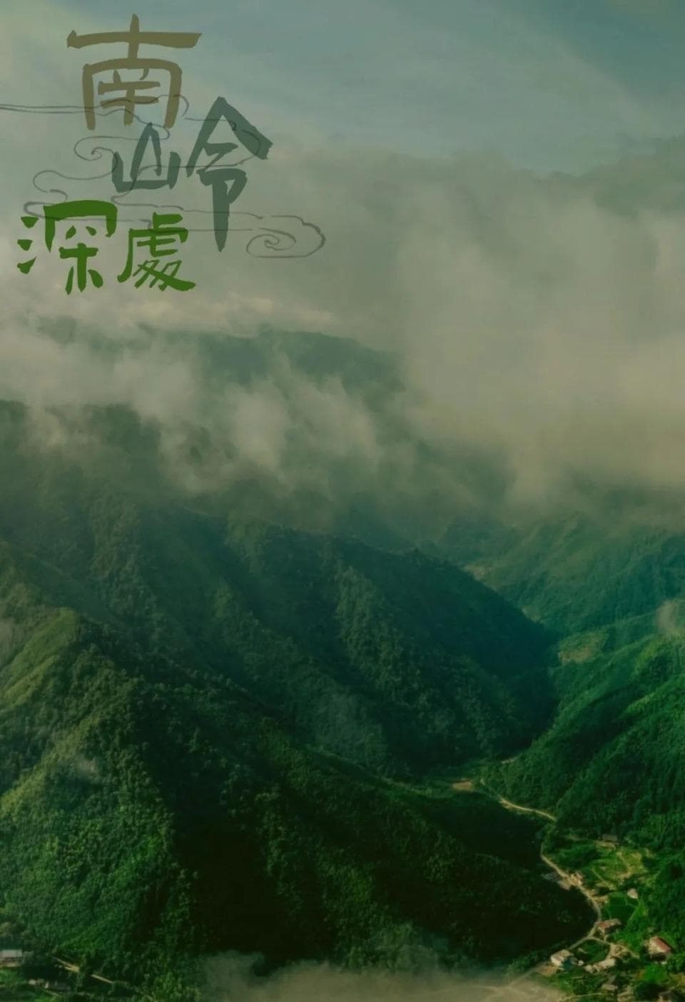 湖南版“哀牢山”，藏着一个野世界