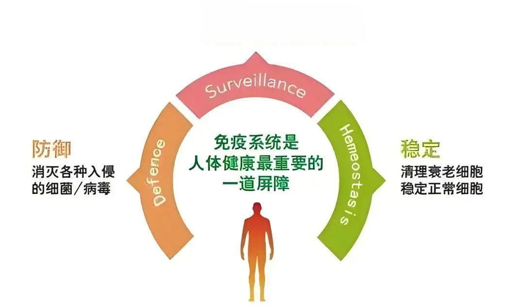 免疫细胞：人体最好的医生