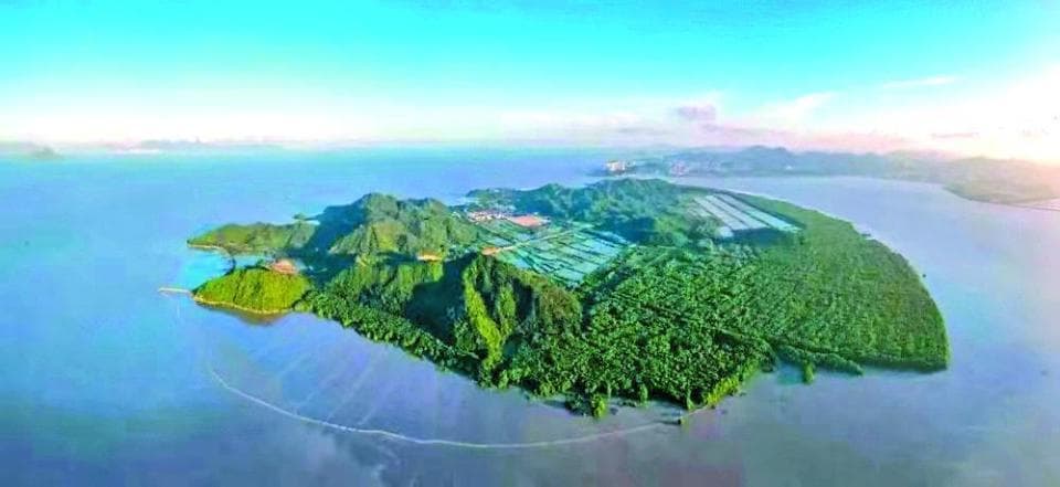 珠海淇澳：百年端午祈福巡游重启成非遗