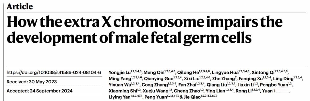 北医三院乔杰团队在Nature发表克氏综合征男性不育机制研究新成果