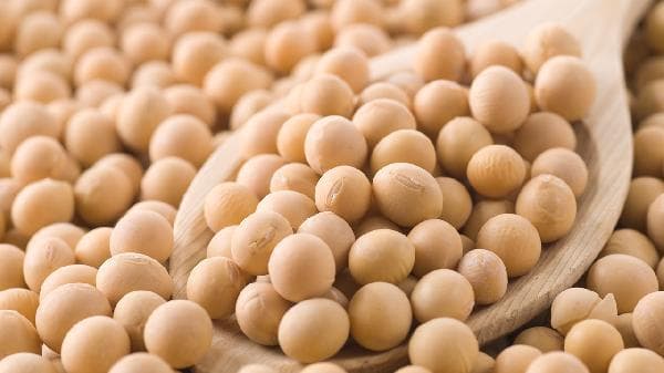 醋泡黄豆用生的还是用熟的好