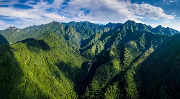 国际森林日：走进全国最绿区域——秦岭陕西段