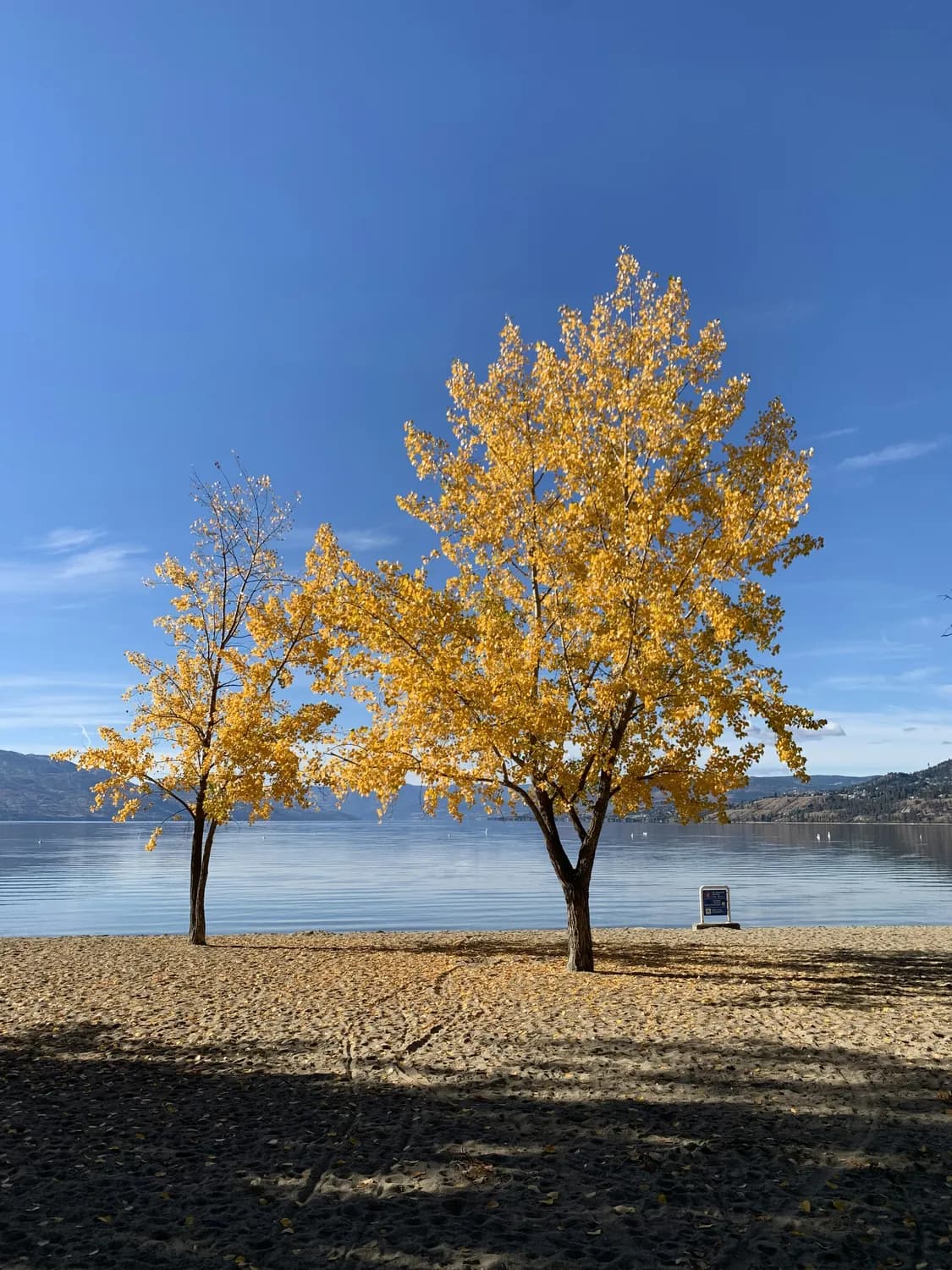 五桂山：中山市最美自然景观推荐