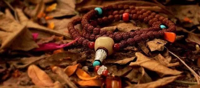 金刚菩提变红还是变黑？盘玩技巧大揭秘！