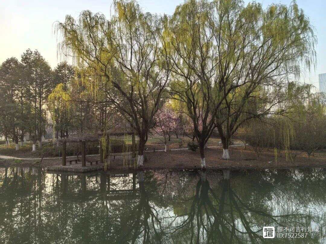 情绪管理的三重境界：自主、自洽与自在