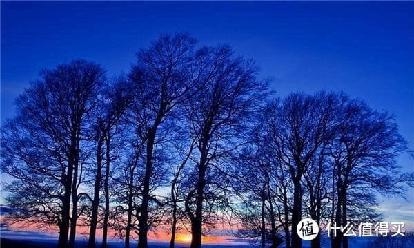 可乐鸡翅的营养成分与烹饪技巧