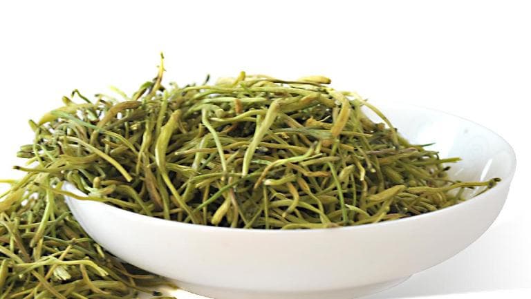 金银花的功效与作用、禁忌和食用方法