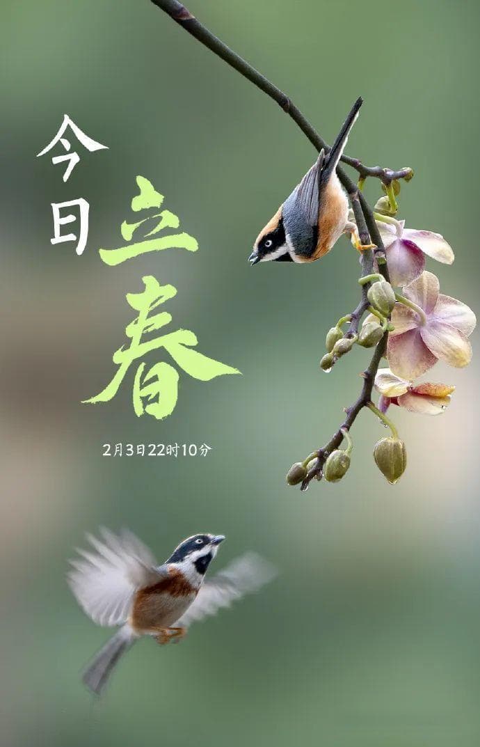 假期“余额”不足，节后综合征缓解指南来啦！