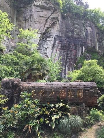 大佛寺景区：穿越千年的佛教圣地 🙏