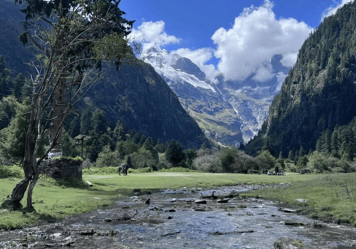 云南旅游五天四晚精心规划行程，西双版纳五天四晚深度游省钱攻略 ！