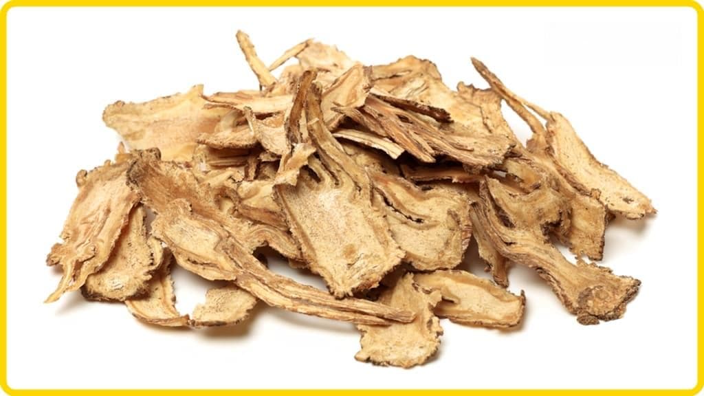 当归的功效与使用禁忌：中医解析夏季如何安全食用当归