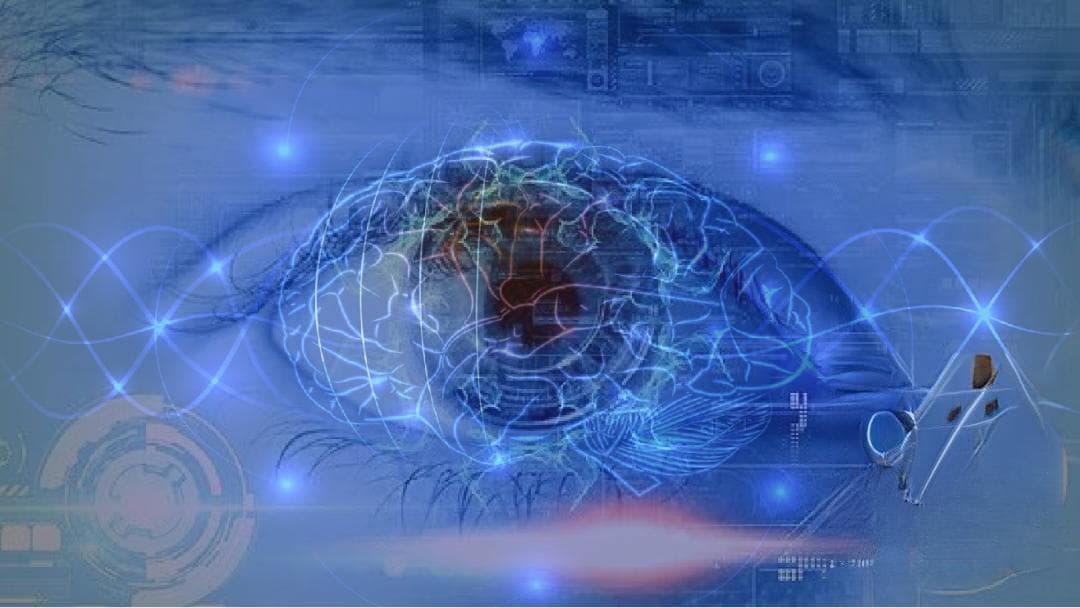 Nature | 揭示大脑如何通过视觉和运动信号追踪目标