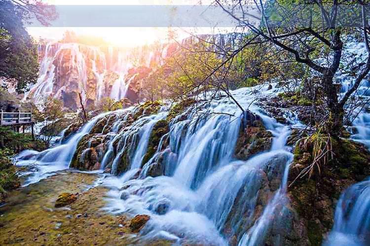 云南美食之旅：探索缇庨、杩囨、椴滈等特色菜肴与小吃
