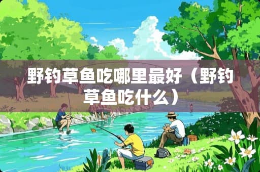 野钓草鱼攻略：最佳时间、钓位与技巧全解析