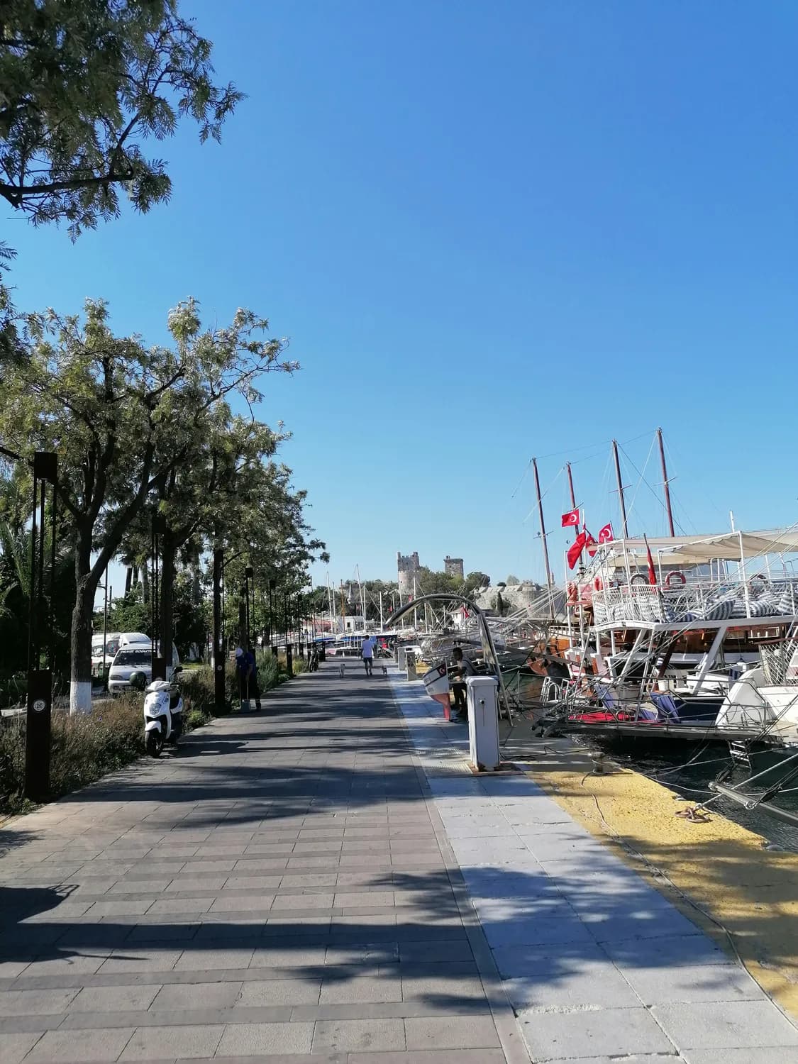 大连港东五街走红：1.5公里街道直通大海，成网红打卡地