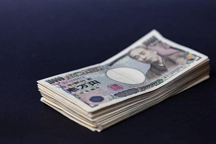 日本IT软件行业的未来前景分析