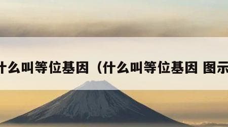 等位基因：遗传学中的重要概念