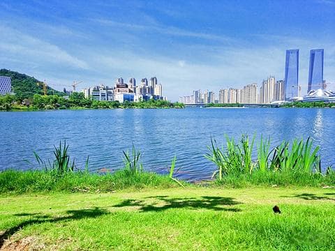 梅溪湖公园旅游指南：长沙自然与文化的融合胜地