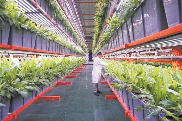 1.4万亿斤粮食新目标如何实现？代表委员建言献策