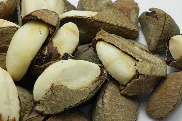 鲍鱼果种植技术：从选址到收获的全方位指南