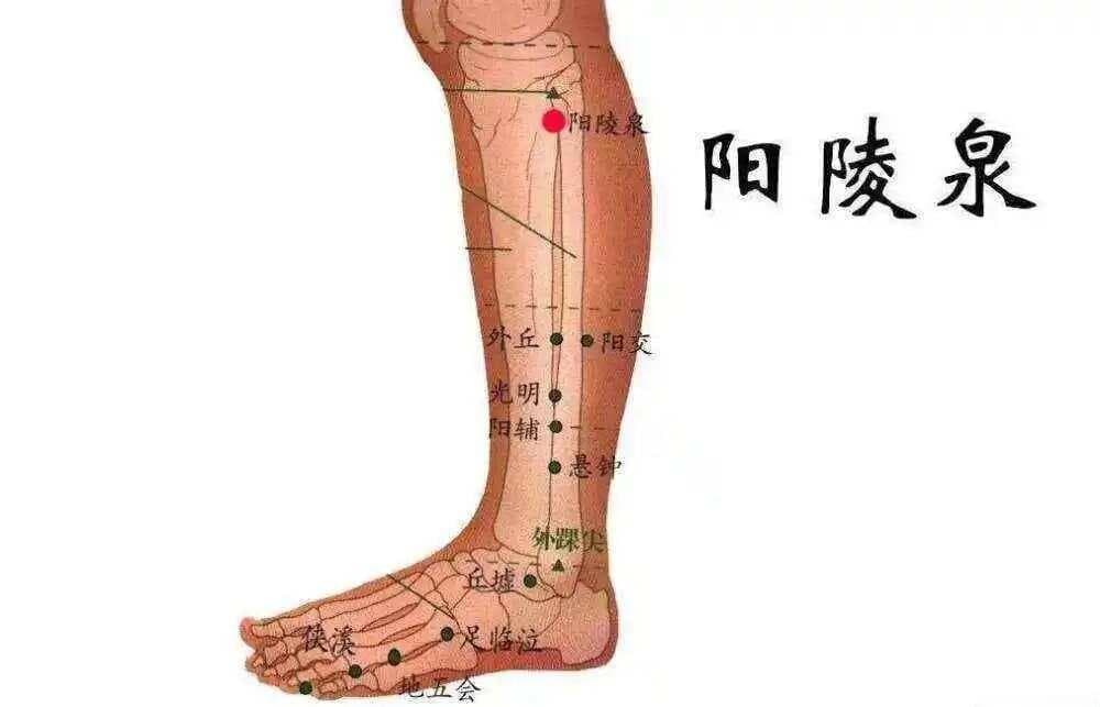 膝关节痛丨一针疗法 特效取穴，消肿止痛，疗效显见！