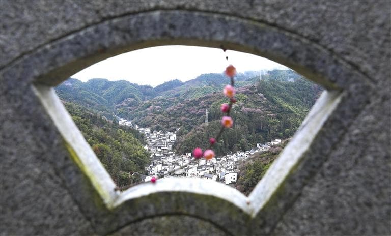 卖花渔村花枝俏