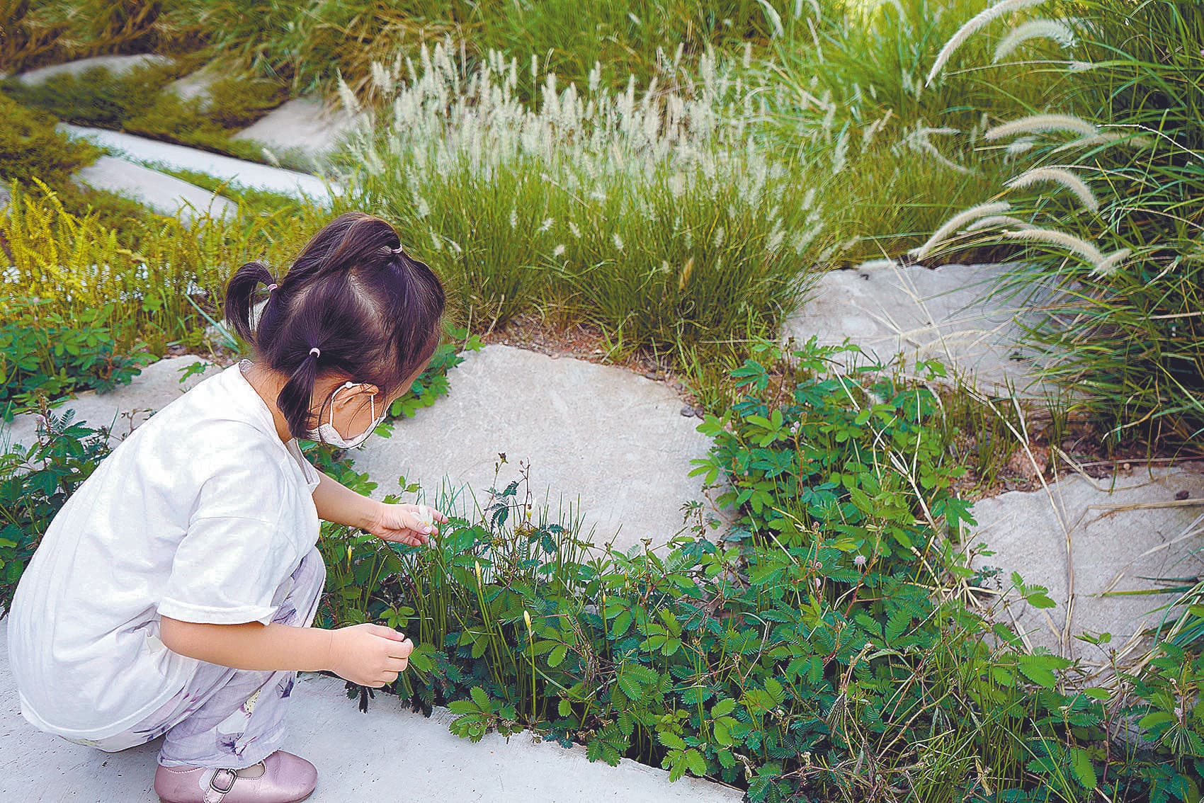 深圳社区公园建设：从废弃地到居民休闲场所的转变