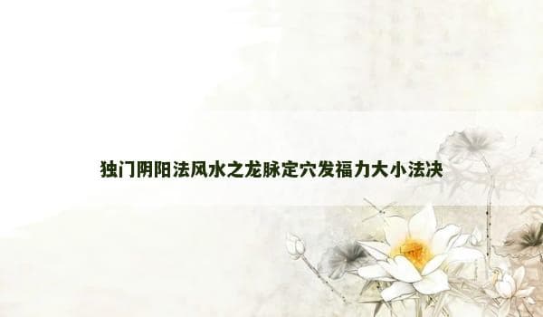 独门阴阳法风水之龙脉定穴发福力大小法决